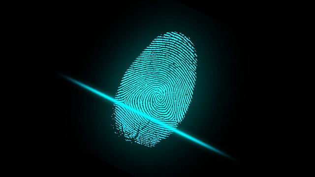 Fingerprint / Biometric