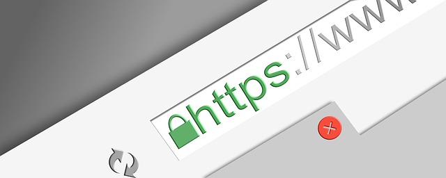 Open SSH / HTTPS vulnerability